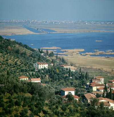 Massarosa